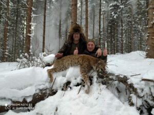 Polowanie w Łotwie, na Rysia